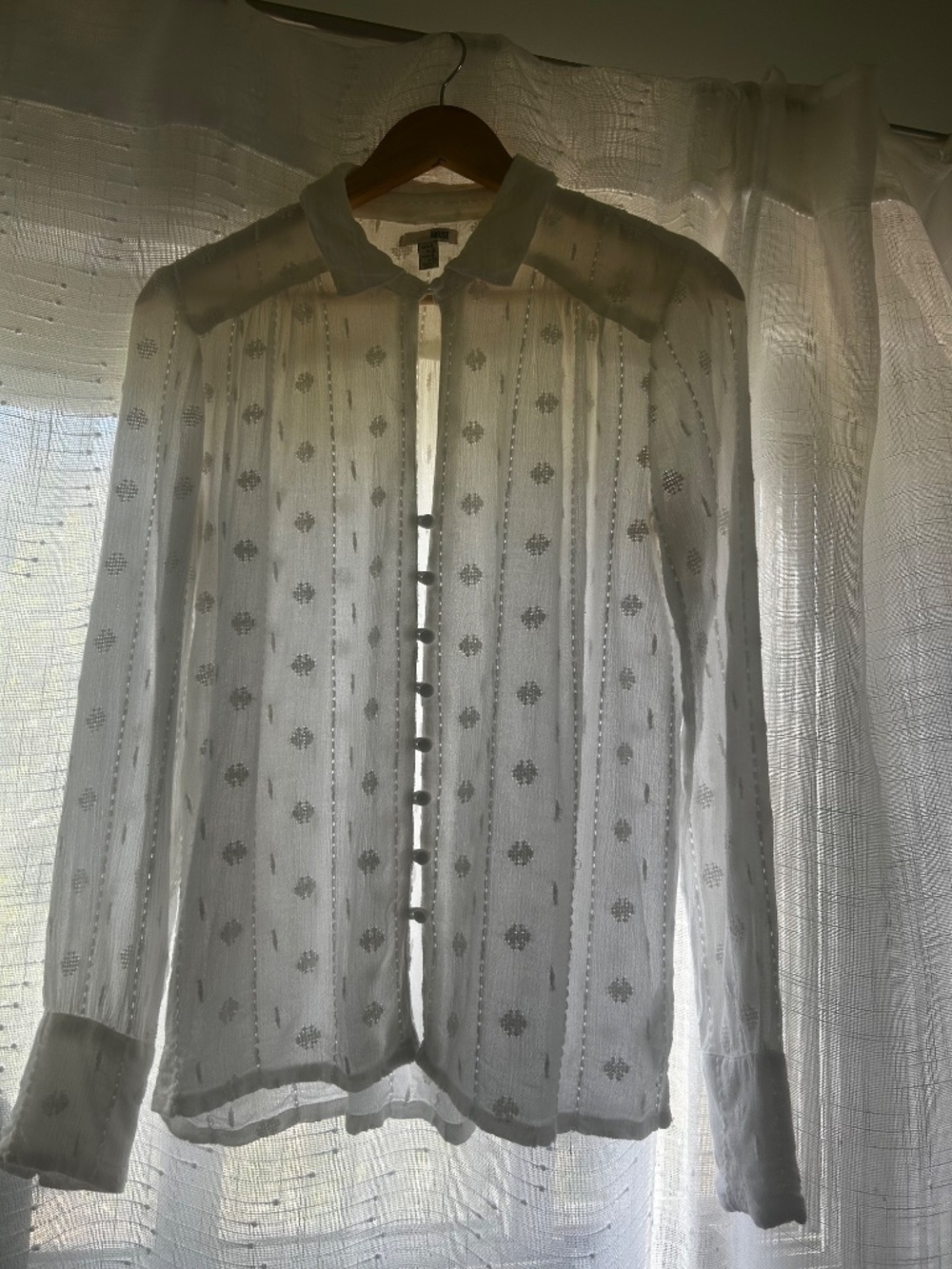amuse society white embroidered swiss dot button front blouse size small - Picture 2 of 14